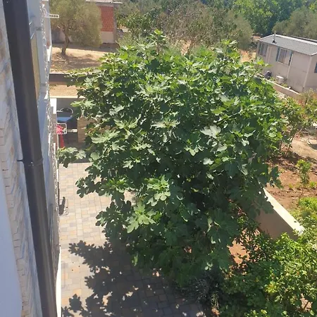 Apartment Bepo